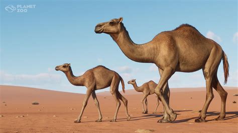 The Ungrateful Camel Reveals the Perilous Pitfalls of Greed and Entitlement!